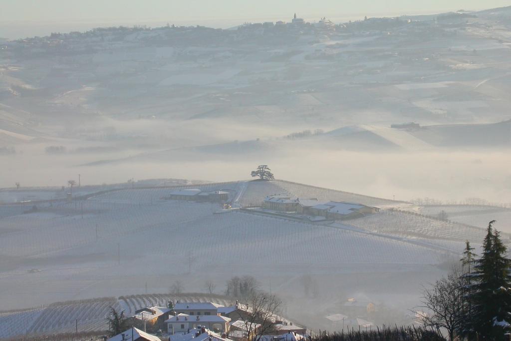 Cascina Rocca Agriturismo B&B La Morra Exterior foto