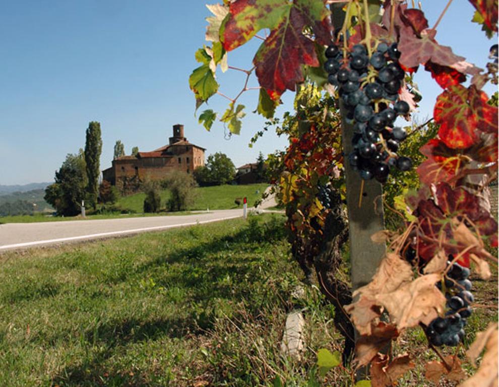 Cascina Rocca Agriturismo B&B La Morra Cameră foto